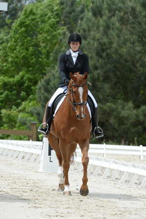 So8ths-5-3-13-Dressage-5236-SamanthaDiMaria-Valentine-DDeRosaPhoto