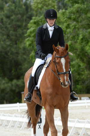 So8ths-5-3-13-Dressage-5249-SamanthaDiMaria-Valentine-DDeRosaPhoto