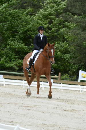 So8ths-5-3-13-Dressage-5257-SamanthaDiMaria-Valentine-DDeRosaPhoto