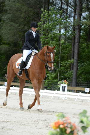 So8ths-5-3-13-Dressage-5262-SamanthaDiMaria-Valentine-DDeRosaPhoto