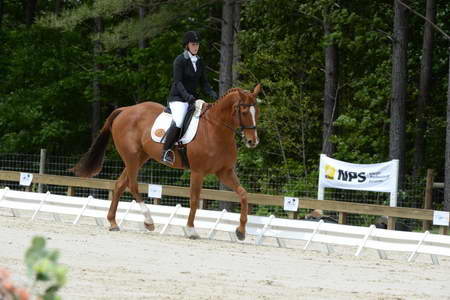 So8ths-5-3-13-Dressage-5267-SamanthaDiMaria-Valentine-DDeRosaPhoto