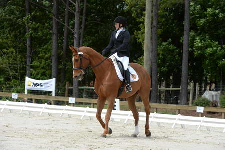 So8ths-5-3-13-Dressage-5269-SamanthaDiMaria-Valentine-DDeRosaPhoto