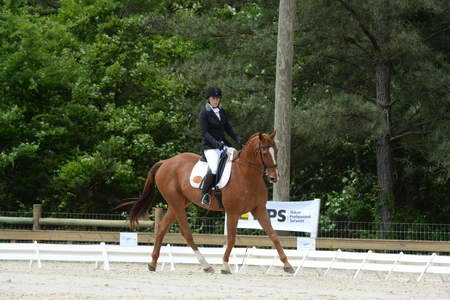 So8ths-5-3-13-Dressage-5270-SamanthaDiMaria-Valentine-DDeRosaPhoto