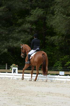 So8ths-5-3-13-Dressage-5279-SamanthaDiMaria-Valentine-DDeRosaPhoto