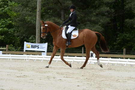 So8ths-5-3-13-Dressage-5282-SamanthaDiMaria-Valentine-DDeRosaPhoto