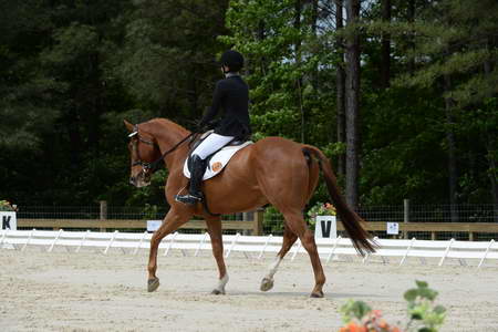 So8ths-5-3-13-Dressage-5290-SamanthaDiMaria-Valentine-DDeRosaPhoto