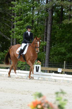 So8ths-5-3-13-Dressage-5295-SamanthaDiMaria-Valentine-DDeRosaPhoto