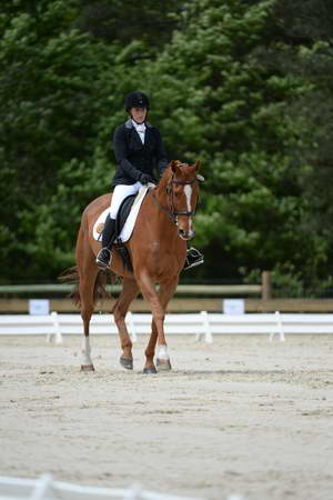 So8ths-5-3-13-Dressage-5305-SamanthaDiMaria-Valentine-DDeRosaPhoto