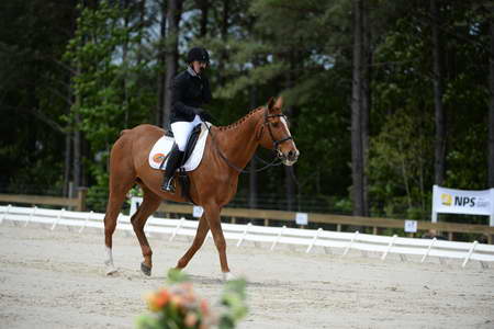 So8ths-5-3-13-Dressage-5309-SamanthaDiMaria-Valentine-DDeRosaPhoto