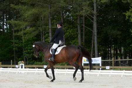 So8ths-5-3-13-Dressage-4842-JamesBaker-Wings-DDeRosaPhoto