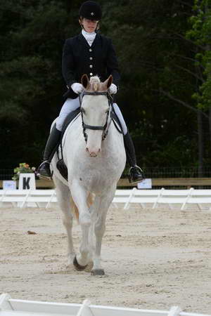 So8ths-5-3-13-Dressage-4877-LaurieWettstone-Moonstruck-DDeRosaPhoto