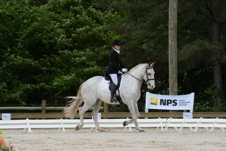 So8ths-5-3-13-Dressage-4883-LaurieWettstone-Moonstruck-DDeRosaPhoto