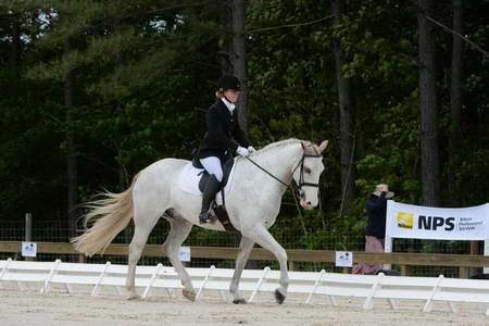 So8ths-5-3-13-Dressage-4888-LaurieWettstone-Moonstruck-DDeRosaPhoto