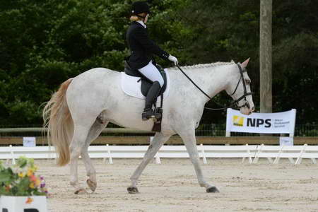 So8ths-5-3-13-Dressage-4893-LaurieWettstone-Moonstruck-DDeRosaPhoto