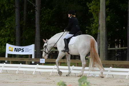 So8ths-5-3-13-Dressage-4906-LaurieWettstone-Moonstruck-DDeRosaPhoto