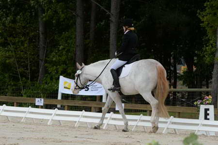 So8ths-5-3-13-Dressage-4907-LaurieWettstone-Moonstruck-DDeRosaPhoto