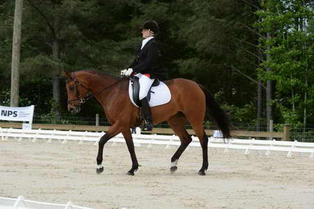 So8ths-5-3-13-Dressage-4913-KathyViele-Matariki-DDeRosaPhoto