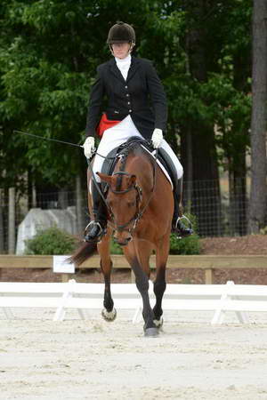 So8ths-5-3-13-Dressage-4925-KathyViele-Matariki-DDeRosaPhoto