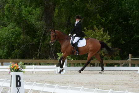 So8ths-5-3-13-Dressage-4932-KathyViele-Matariki-DDeRosaPhoto