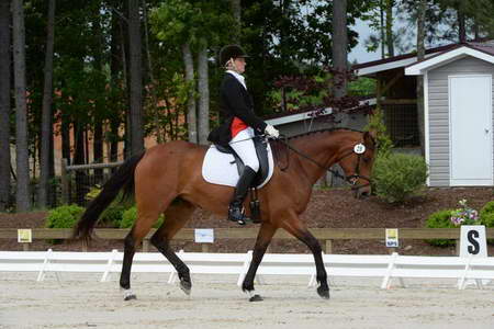 So8ths-5-3-13-Dressage-4933-KathyViele-Matariki-DDeRosaPhoto