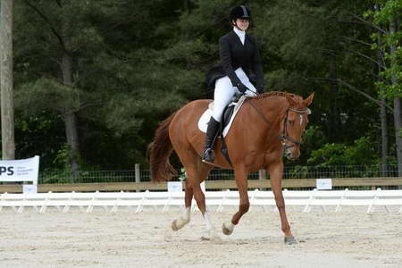 So8ths-5-3-13-Dressage-4946-SarahBaker-PoeticJustice-DDeRosaPhoto