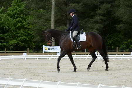 So8ths-5-3-13-Dressage-4988-KaitlynnMosing-Powerhound-DDeRosaPhoto