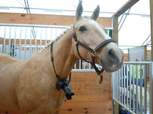 Taylor Pence-1-So8ths-5-3-13-NikonPhotoContest-0004