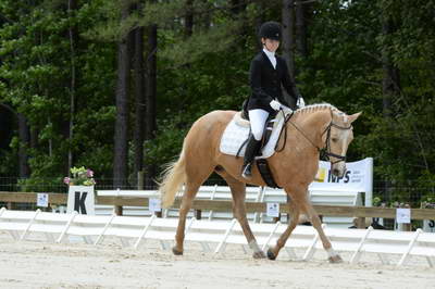 BN3D-HorseQuencher-Sportsmanship-So8ths-5-3-13-Dressage-5587-TaylorPence-Goldie-DDeRosaPhoto