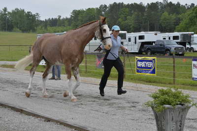 So8ths-5-2-13-Clinics-6641-DDeRosaPhoto