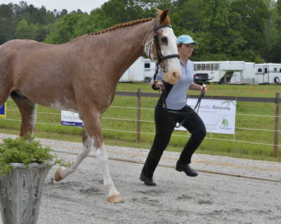 So8ths-5-2-13-Clinics-6642-BrianaTimmerman-ASplashofHenry-DDeRosaPhoto