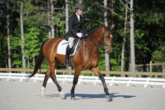 Dressage-So8ths-4-29-11-DR-1448-DomSchramm-Arnold-DDeRosaPhoto