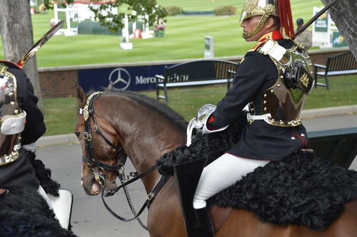 Spruce-Meadows-9-3-13-5125-DDeRosaPhoto