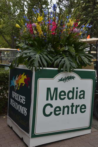 Spruce-Meadows-9-3-13-5196-DDeRosaPhoto