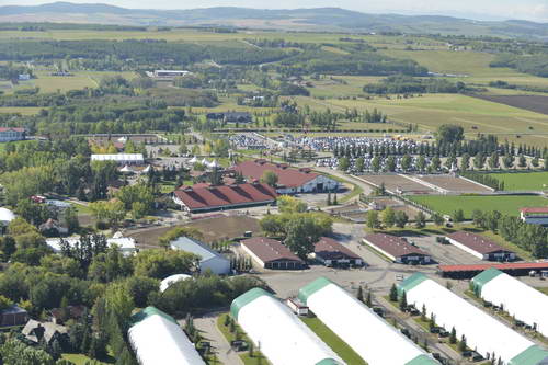 Spruce-Meadows-9-8-13-2238-DDeRosaPhoto