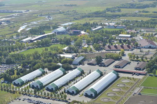 Spruce-Meadows-9-8-13-2281-DDeRosaPhoto