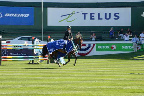 Spruce-Meadows2-9-4-13-2670-KentFarrington-AkitaCup-DDeRosaPhoto