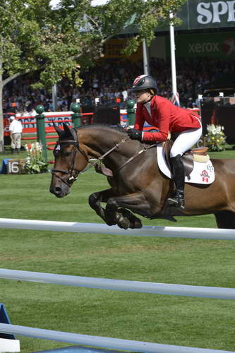 Spruce-Meadows-9-8-13-3060-TiffanyFoster-VerdiIII-CAN-DDeRosaPhoto