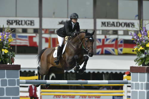 Spruce-Meadows-9-5-13-9534-TiffanyFoster-VerdiIII-CAN-DDeRosaPhoto