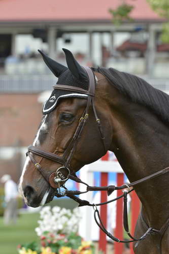 Spruce-Meadows-9-5-13-9678-KevinStaut-QuismyDesVauxHDC-FRA-DDeRosaPhoto