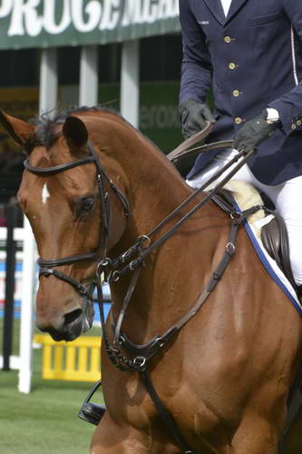 Spruce-Meadows-9-5-13-9725-DanielDeusser-EvitaVanDeVeldbalie-GER-DDeRosaPhoto