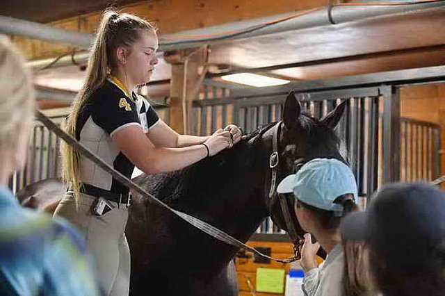 USHJA-EAP-7-11-18-3392-DDeRosaPhoto