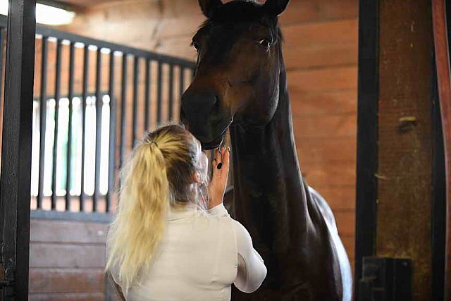 USHJA-EAP-7-11-18-3410-DDeRosaPhoto