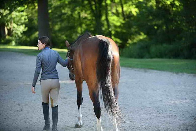 USHJA-EAP-7-12-18-5073-DDeRosaPhoto