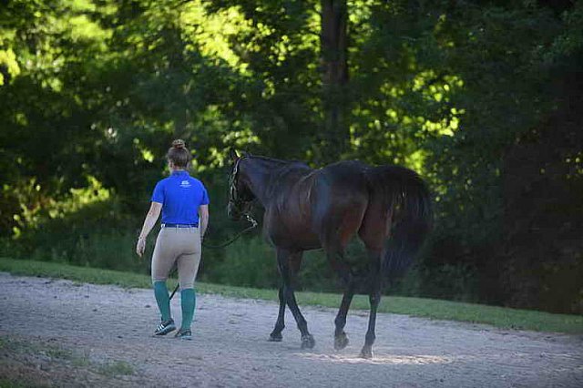 USHJA-EAP-7-12-18-5084-DDeRosaPhoto