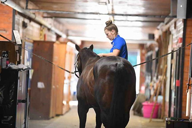 USHJA-EAP-7-12-18-5122-DDeRosaPhoto