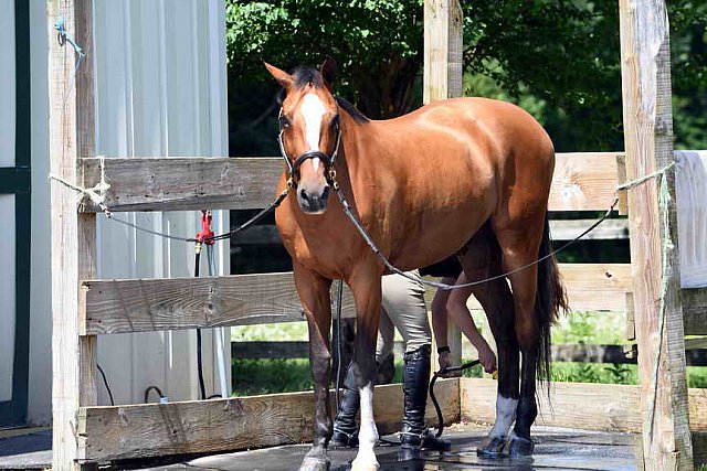 EAP-6-27-19-1230-Rachel Long-DDeRosaPhoto