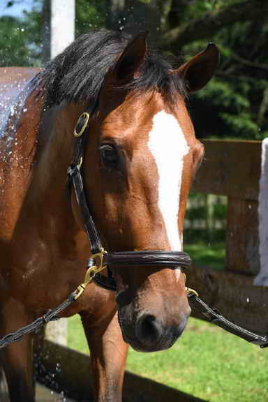 EAP-6-27-19-1238-Rachel Long-DDeRosaPhoto