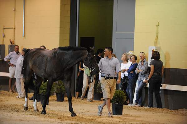 USHJA-Derby-8-19-10-Jog-DER_6842-DDeRosaPhoto.JPG