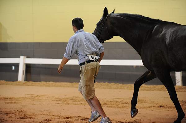 USHJA-Derby-8-19-10-Jog-DER_6845-DDeRosaPhoto.JPG