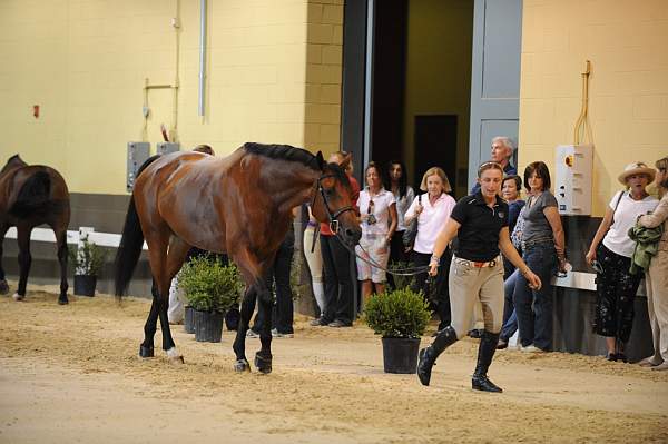 USHJA-Derby-8-19-10-Jog-DER_6910-DDeRosaPhoto.JPG